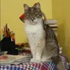 Отзыв от Лера Сотникова